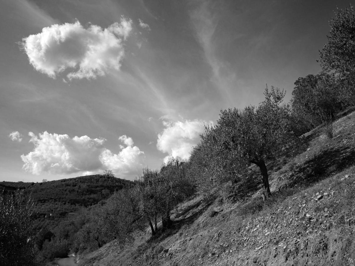 Agriturismo Il Casaletto Montefranco 外观 照片