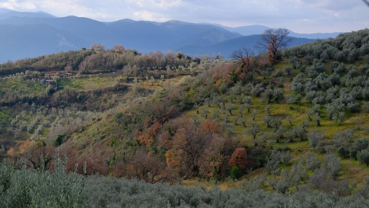 Agriturismo Il Casaletto Montefranco 外观 照片