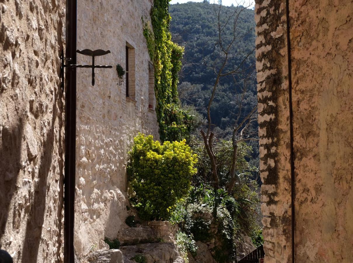Agriturismo Il Casaletto Montefranco 外观 照片