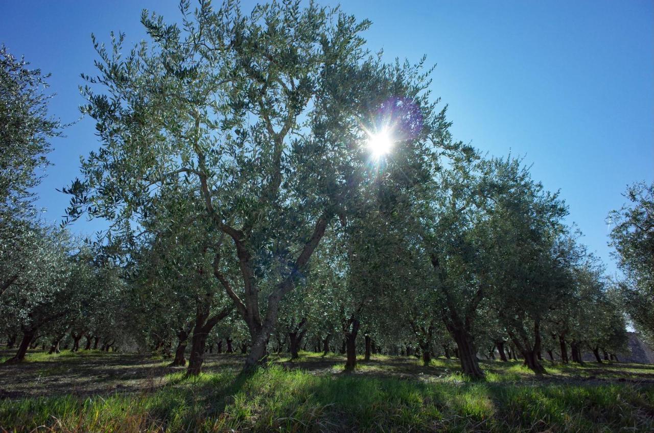 Agriturismo Il Casaletto Montefranco 外观 照片