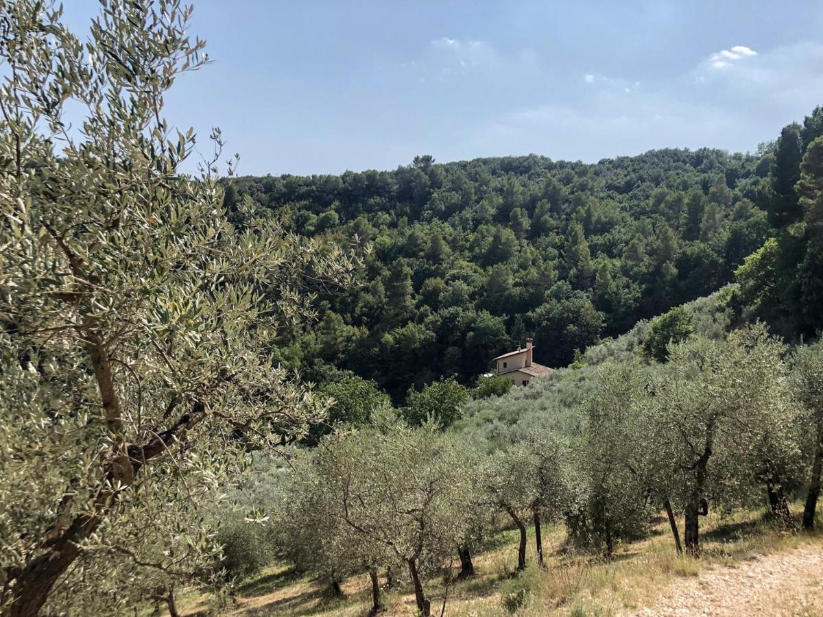 Agriturismo Il Casaletto Montefranco 外观 照片