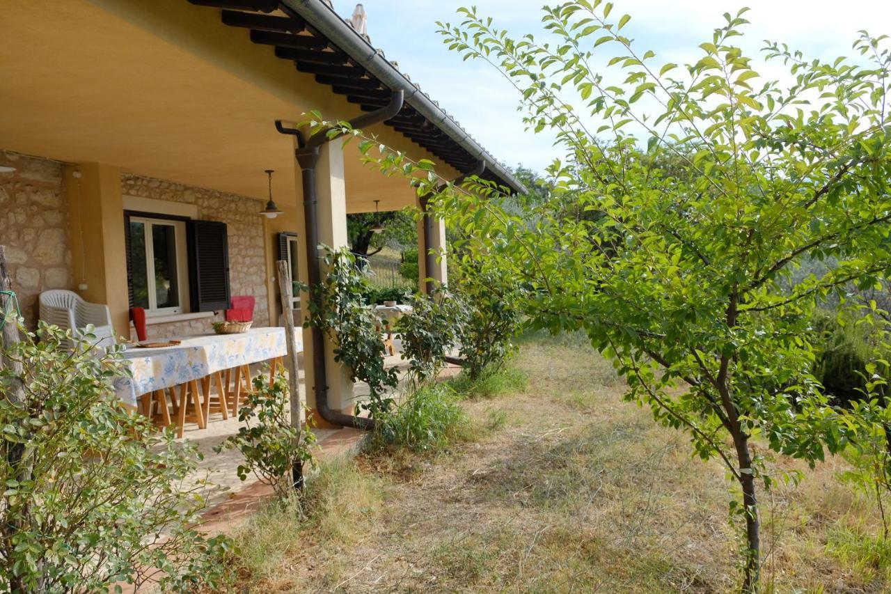 Agriturismo Il Casaletto Montefranco 外观 照片