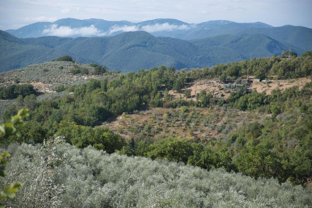 Agriturismo Il Casaletto Montefranco 外观 照片