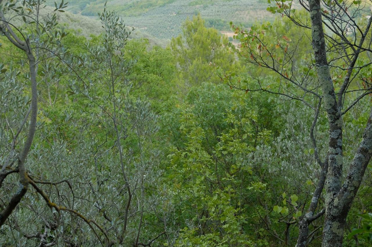 Agriturismo Il Casaletto Montefranco 外观 照片