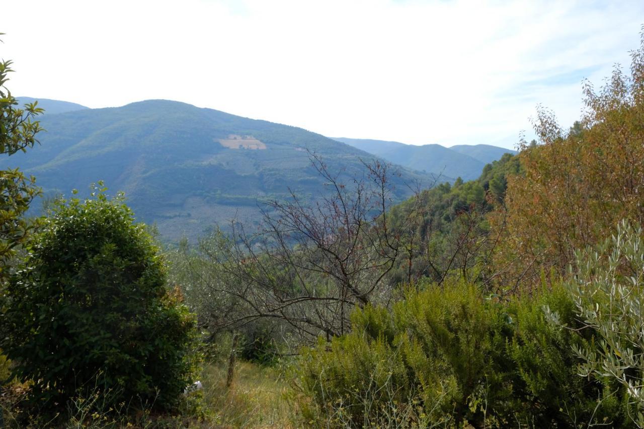 Agriturismo Il Casaletto Montefranco 外观 照片